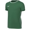 Koszulka Nike Park 26 SS Top Junior HM7134-302 zielony L (147-158cm)